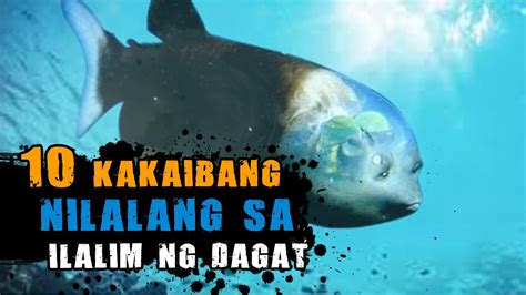 10 Kakaibang Nilalang sa Ilalim ng Dagat .